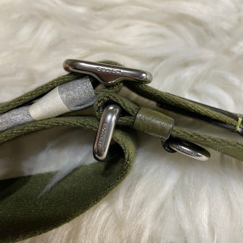 Coach Webbing Strap - Picture 3 of 4